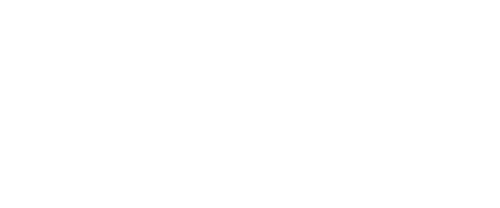 Bellevue Investors